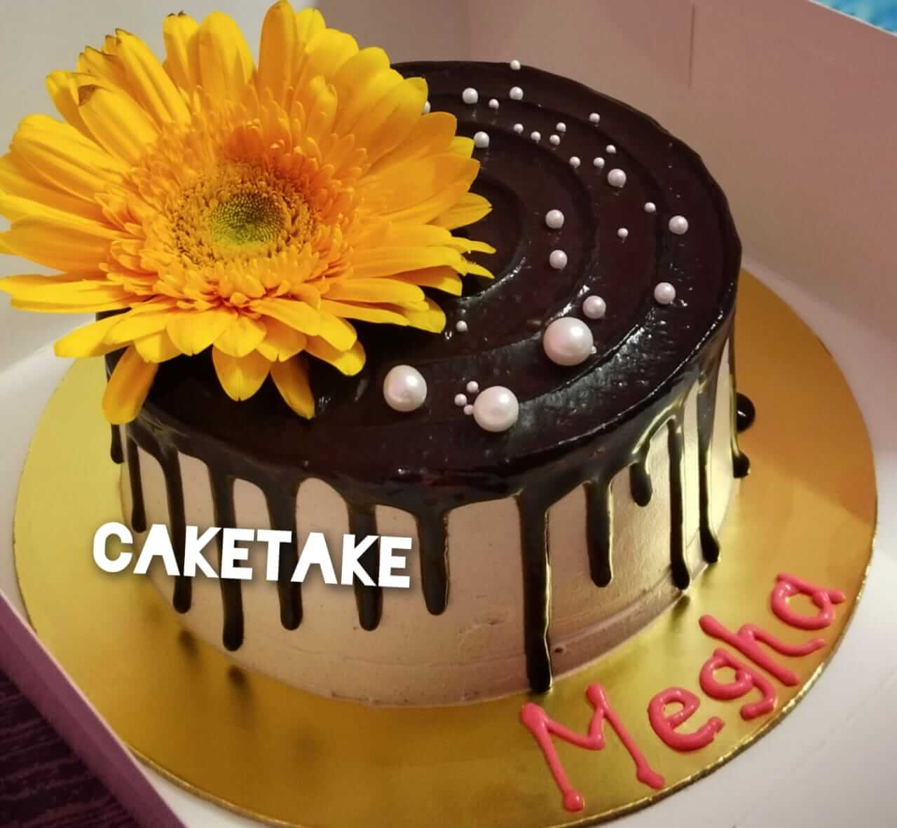 Frost Fiesta cake design in Nagerbazar 11